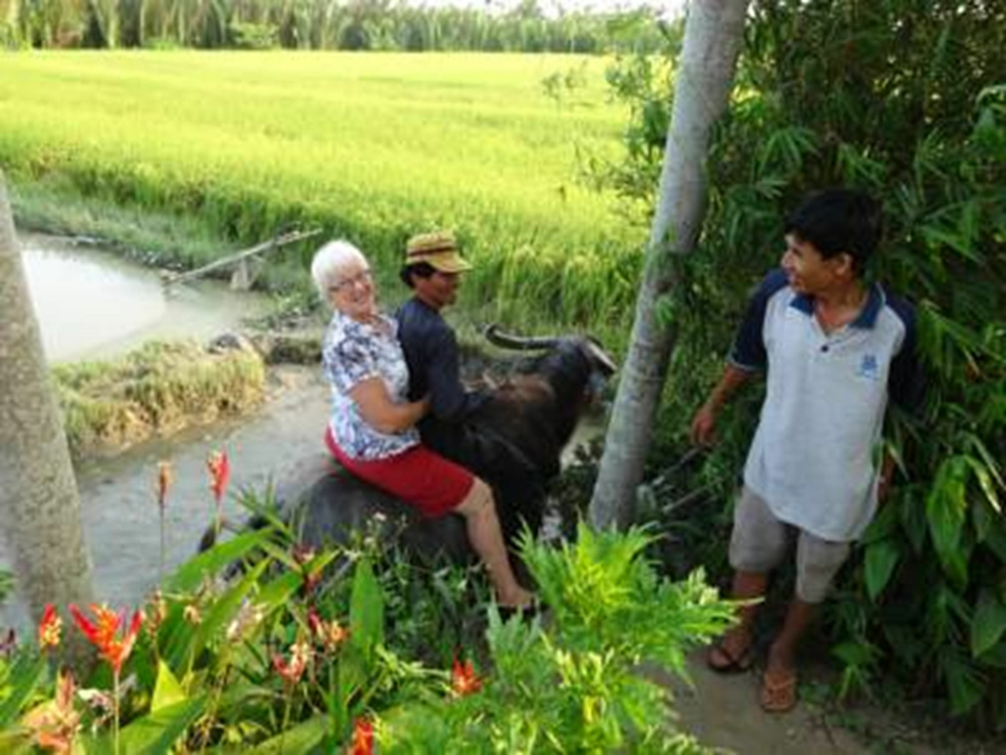 Hoi An Life Villa Ngoại thất bức ảnh
